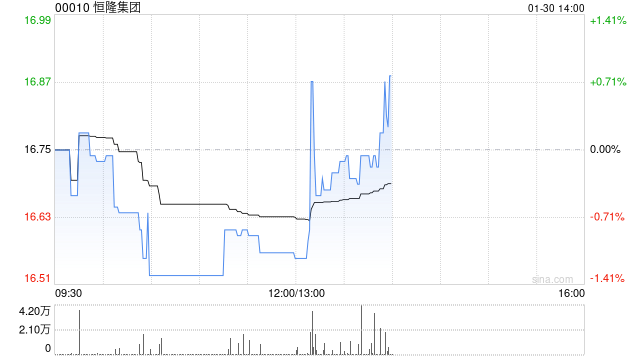 恒隆集团发布年度业绩 股东应占基本纯利上升3%至24.07亿港元