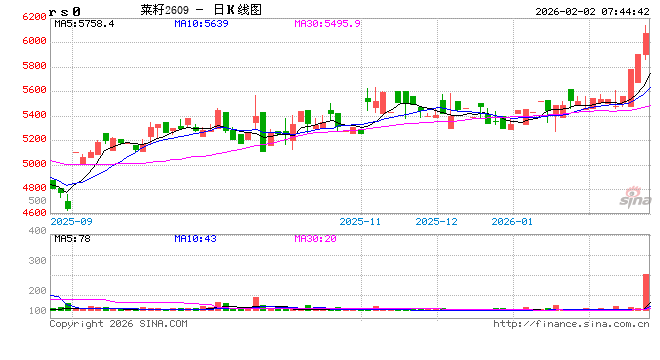 【菜系周报】菜籽压榨恢复，关注榨利兑现