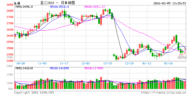 中央一号文件之大豆：提产能增收入