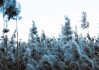 瑞众、中信保诚、富泽人寿新入围 中保协投资管理能力榜单出炉！不动产投资能力增加5家