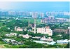 一袋化肥背后的稳价账：尿素期货撑起春耕“安全垫”