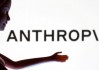 Anthropic最快下周完成逾300亿美元融资轮