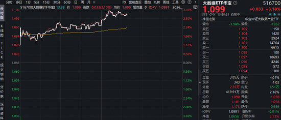 AI应用端大涨，东方国信20CM涨停！字节Seedance2.0海内外刷屏，大数据ETF（516700）猛拉3.2%