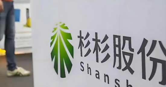 国资救场，杉杉内斗终局？