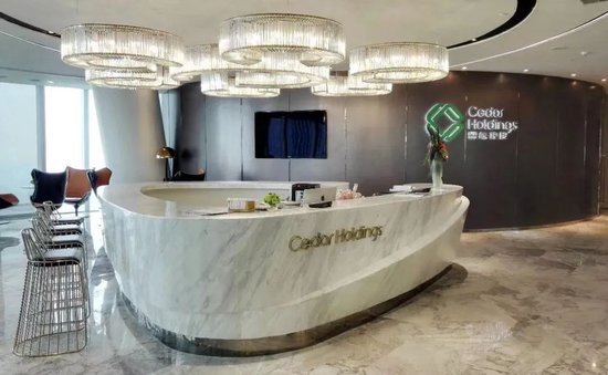 雪松老板被判无期！诈骗200亿，极度自恋