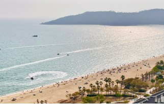 【申万宏源研究春节见闻】旅居热与跨境潮:从惠州滨海到香港街头的春节轨迹