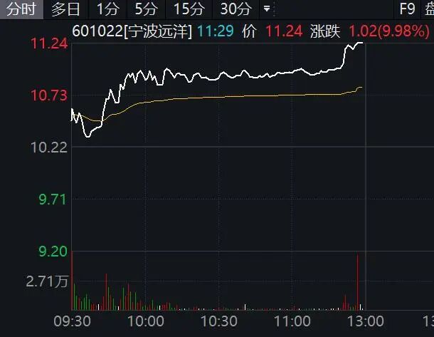 601022,临近午间收盘3分钟直线涨停!航运、石油板块集体大爆发