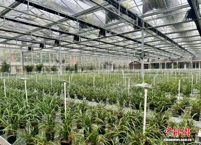 全国人大代表刘建明：乡村振兴要靠有闯劲的年轻人