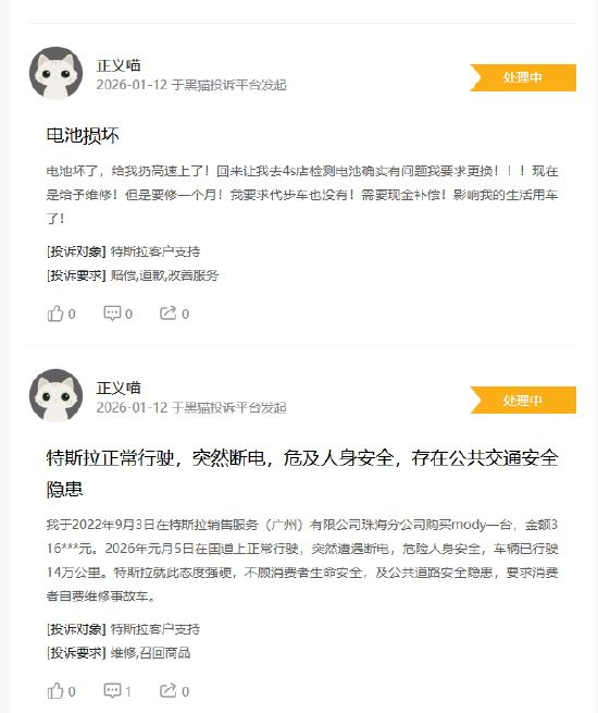 特斯拉登黑猫投诉2025年汽车榜黑榜：新车刚开出店就轮毂变形