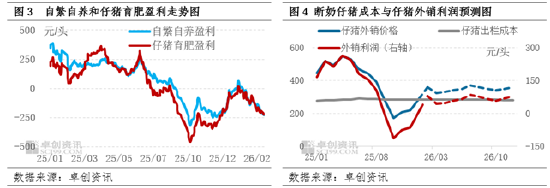 政策与市场共同驱动,母猪产能或在二三季度加速去化