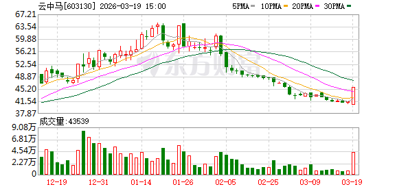 云中马：公司不存在逾期担保