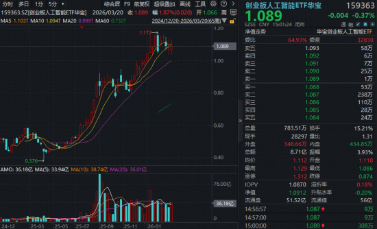 沪指年内新低！“为AI发电”实力抗跌，双创成功逆袭！阿里绩后重挫，华宝基金港股互联网ETF跌至冰点