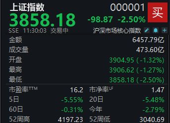 A股低开低走，沪指半日下跌2.5%
