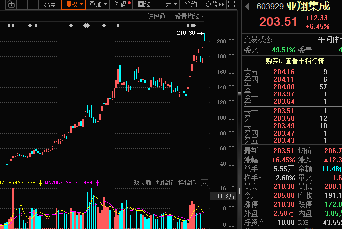 亚翔集成暴涨超18倍！10倍股回调榜出炉，*ST双成跌80%、惠城环保、艾融软件跌60%，机构扎堆关注这些优质股