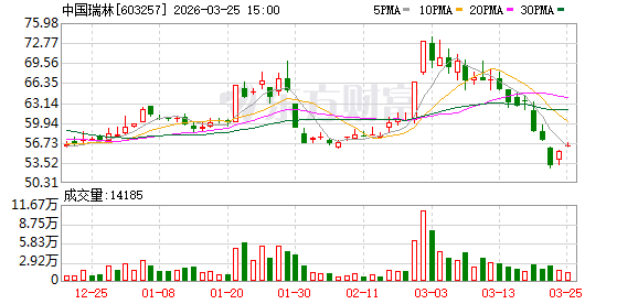 中国瑞林：西芒杜项目作为全球顶级矿山工程，汇聚了国际一流企业参与建设