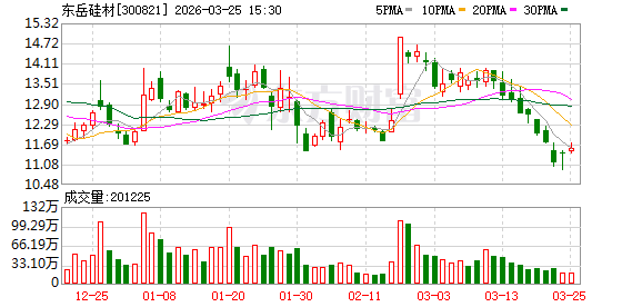 东岳硅材：董事会审议通过《关于公司的议案》等多项议案