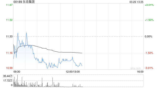 中金：维持东岳集团跑赢行业评级 目标价16.68港元