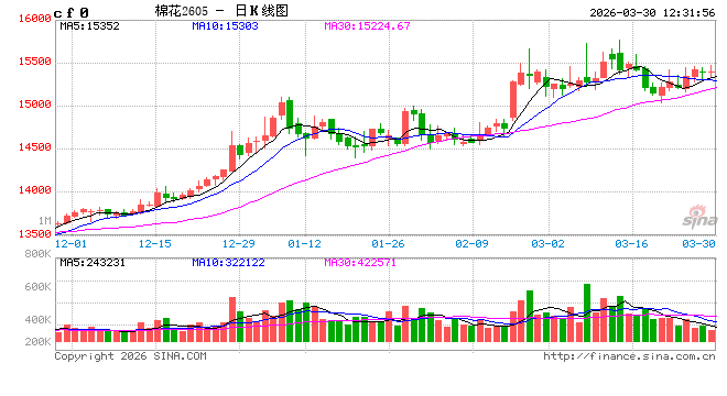 新疆棉花种植面积将下降,强预期向强现实迈进
