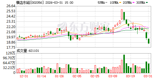横店东磁:东望渔光、东赣渔光两个项目仍在建设中
