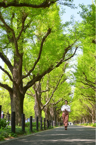 踏青寻色，以尼康定格春日温柔
