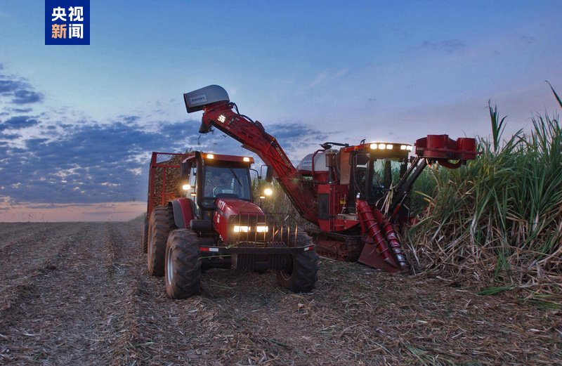 中东冲突推高能源成本 全球食品价格3月上涨
