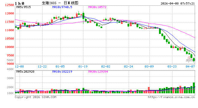 “多头不死、空头不止” 逾百亿资金鏖战生猪期货