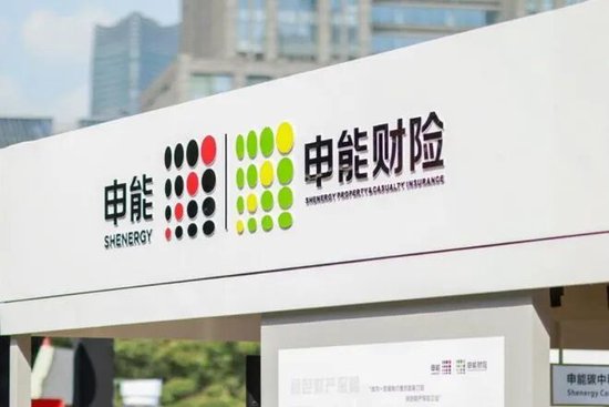 申能财险再成被执行人，累计执行标的超52万元