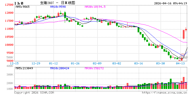 华泰期货：压力有所放缓，生猪行情阶段夯实