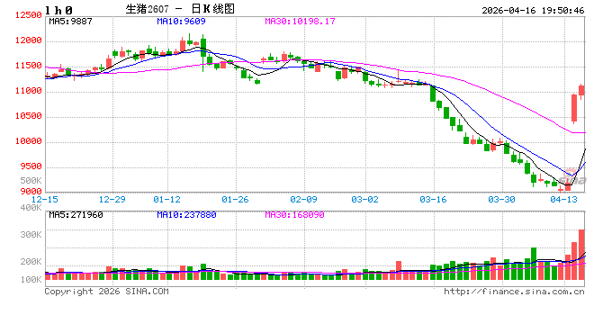 光大期货0416热点追踪：猪价连涨三天，抄底信号还是诱多陷阱？