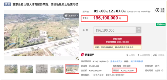 突发！惠州佳兆业、富力，被拍卖了！6.3亿起！