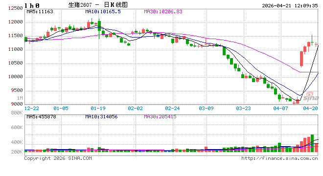 中国银河证券：生猪供需矛盾显化 年内将回归低位震荡格局