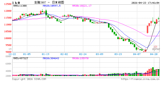 猪价底部到底稳不稳？