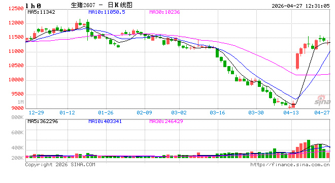 生猪及白条价格触底反弹 毛白价差收窄