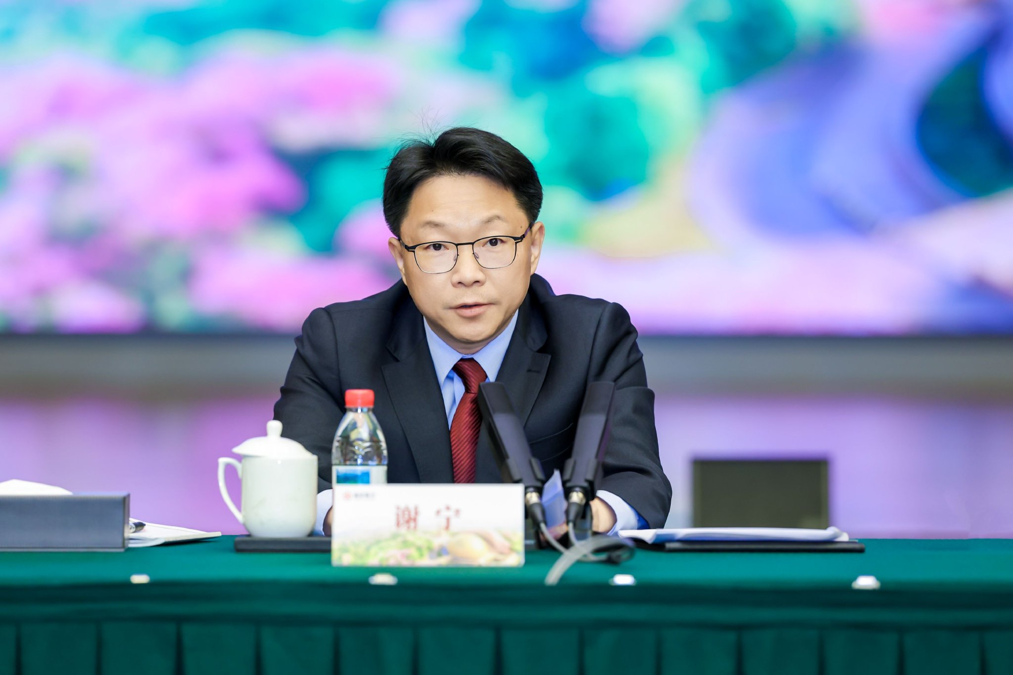 南京银行董事长谢宁：“好银行”至少应具备经营发展好等三大特征