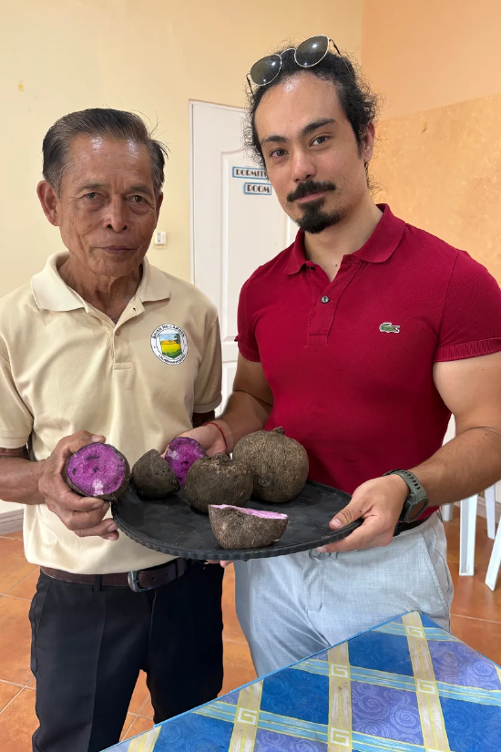 火爆全网的香兰紫薯，背后复杂又隐秘的产业链
