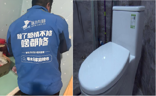 报价156元,实收1780元! 啄木鸟维修“坑哭”女子,投诉量一年暴涨69%,董事长“明白消费”成笑话